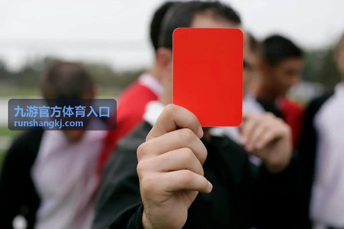 九游官方体育入口数据回看与导出界面